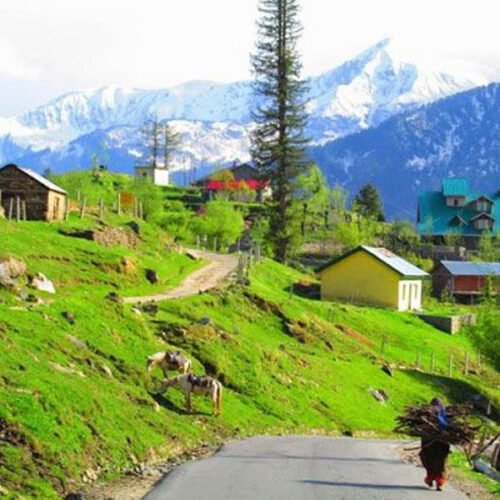 kothi-village-manali